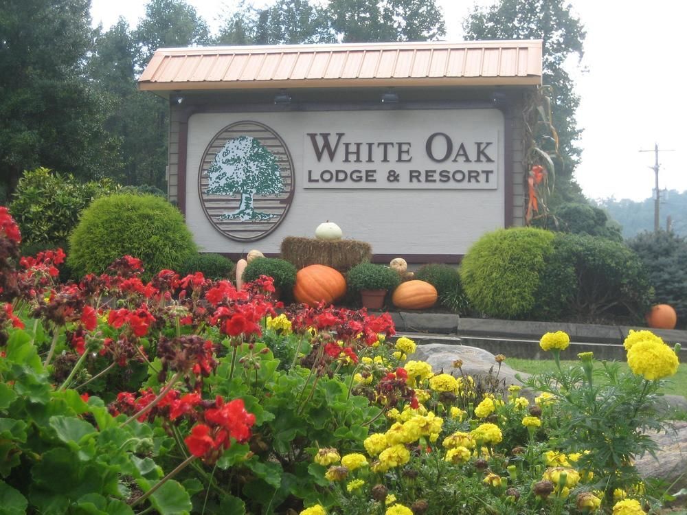 White Oak Lodge And Resort Pittman Center Ngoại thất bức ảnh